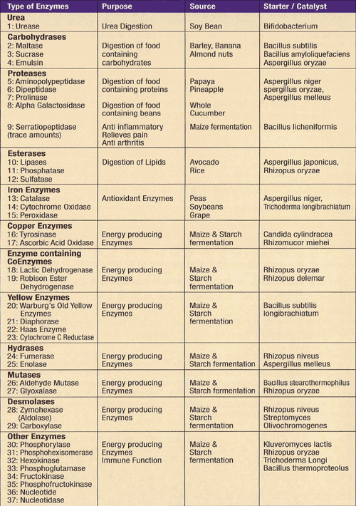 book investment in south