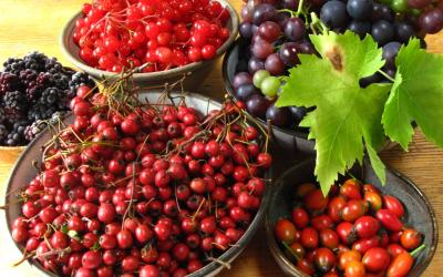 Antioxidant Foods And Health Benefits