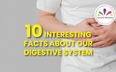 10 Interesting Facts About Our Digestive System
