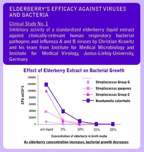 ElderberryCllinical1