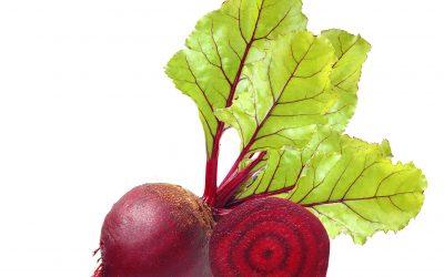 Iron Deficiency Day & Iron Deficiency Anemia