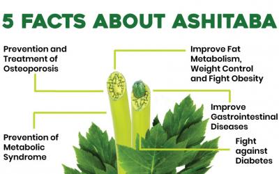 5 Facts about Ashitaba