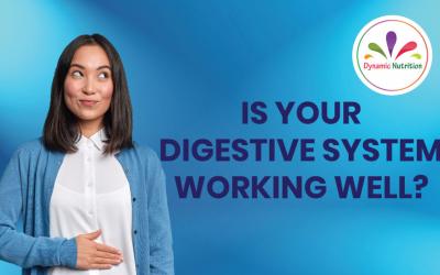 Is Your Digestive System Working Well?