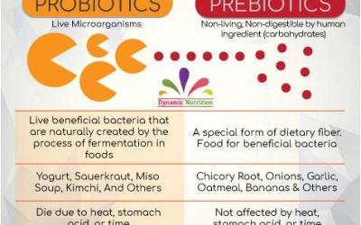 Do we need both Prebiotics and Probiotics?