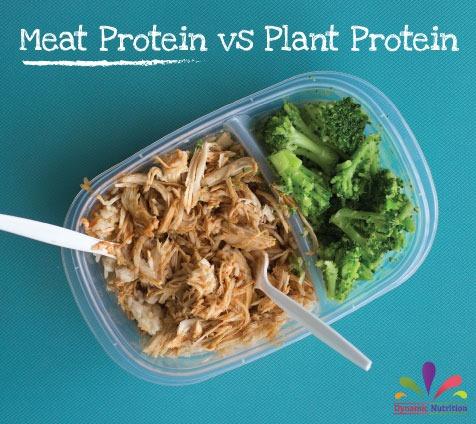 plant protein