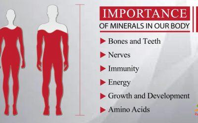 Importance of Macro Minerals in Our Body
