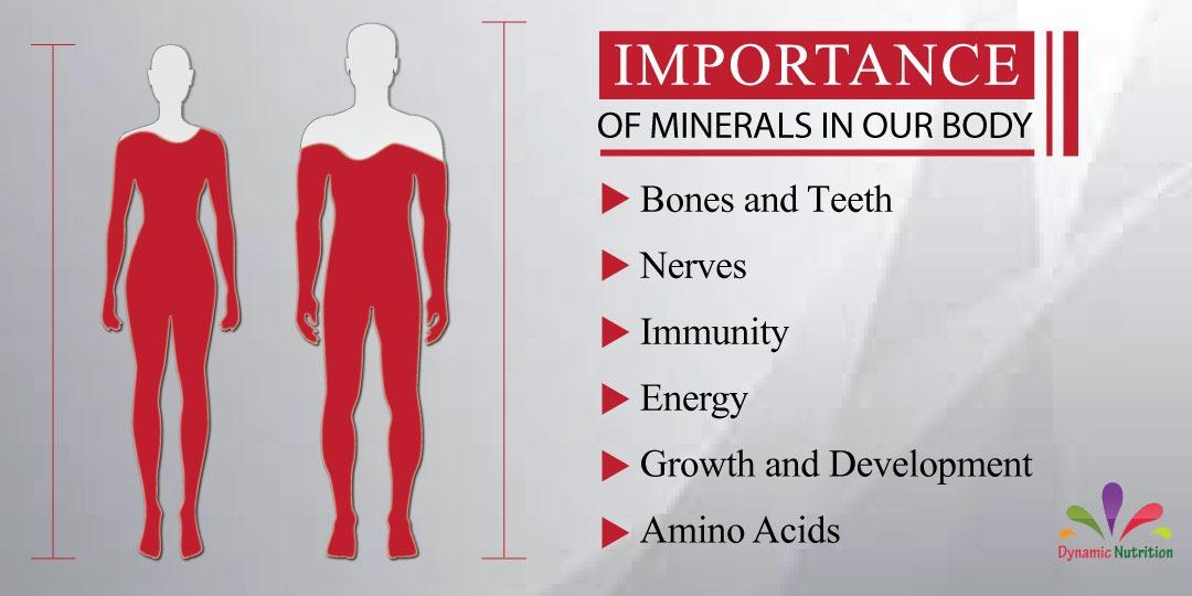 Importance of Minerals in Our Body