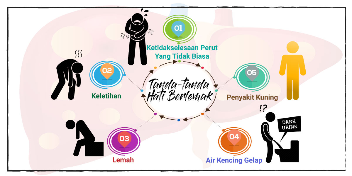 Tanda-tanda Hati Berlemak  Dynamic Nutrition