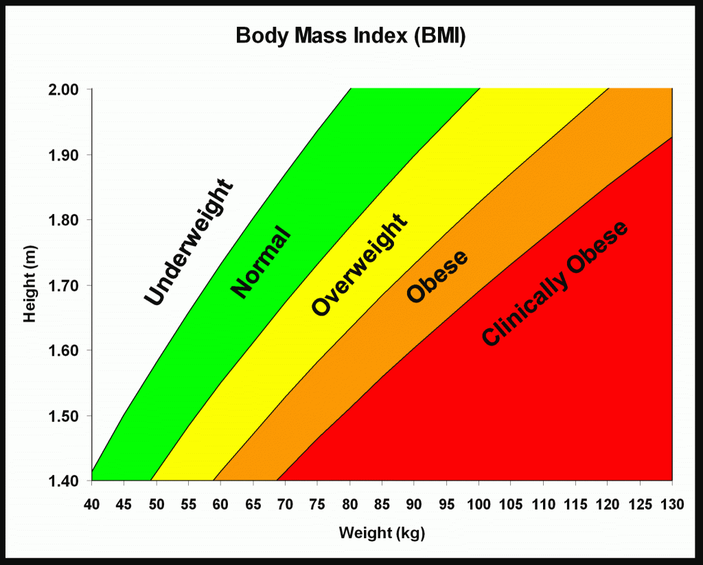 BMI Calculator KG BMI Calculation Explained In Plain Words