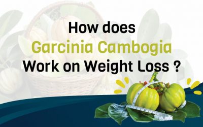 How does Garcinia Cambogia Work on Weight Loss?