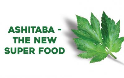 What is Ashitaba? Ashitaba Is The King Of Vegetable