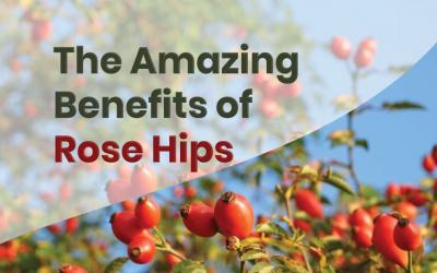 The Amazing Benefits of Rose Hips