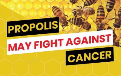 Brazilian Green Propolis May Fight Against Cancer