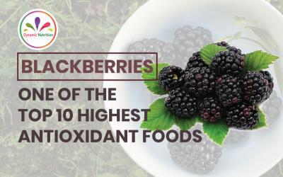Blackberries – One of the Top 10 Highest Antioxidant Foods