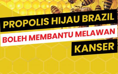 Propolis Hijau Brazil Boleh Membantu Melawan Kanser