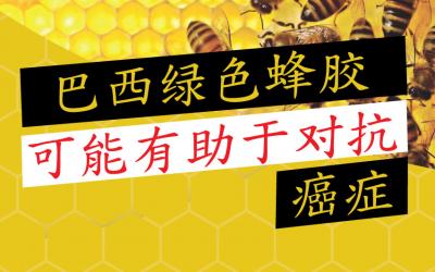 巴西绿色蜂胶可能有助于对抗癌症