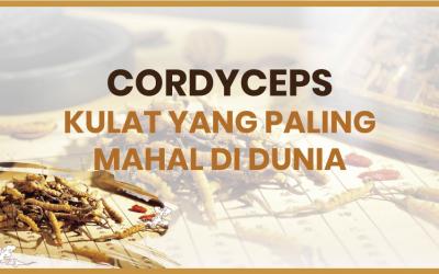 Cordyceps – Kulat yang Paling Mahal di Dunia