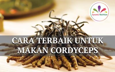 Cara Terbaik untuk Makan Cordyceps
