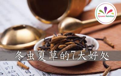 冬虫夏草的7大好处
