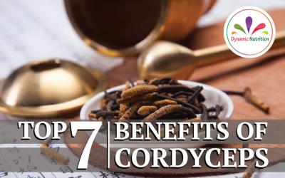 Top 7 Benefits of Cordyceps