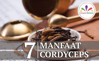 7 Manfaat Cordyceps