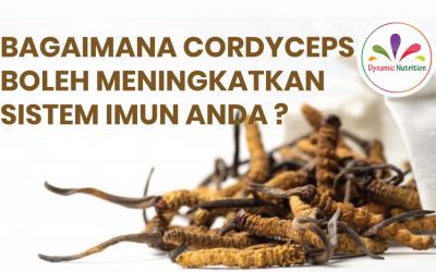 Bagaimana Cordyceps boleh Meningkatkan Sistem Imun Anda?