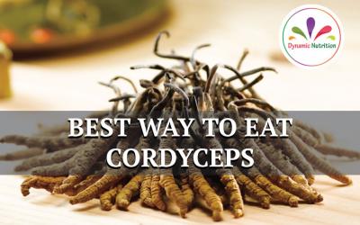 Best Ways to eat Cordyceps