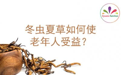 冬虫夏草如何使老年人受益？