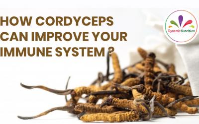 How Cordyceps can Improve Your Immune System?