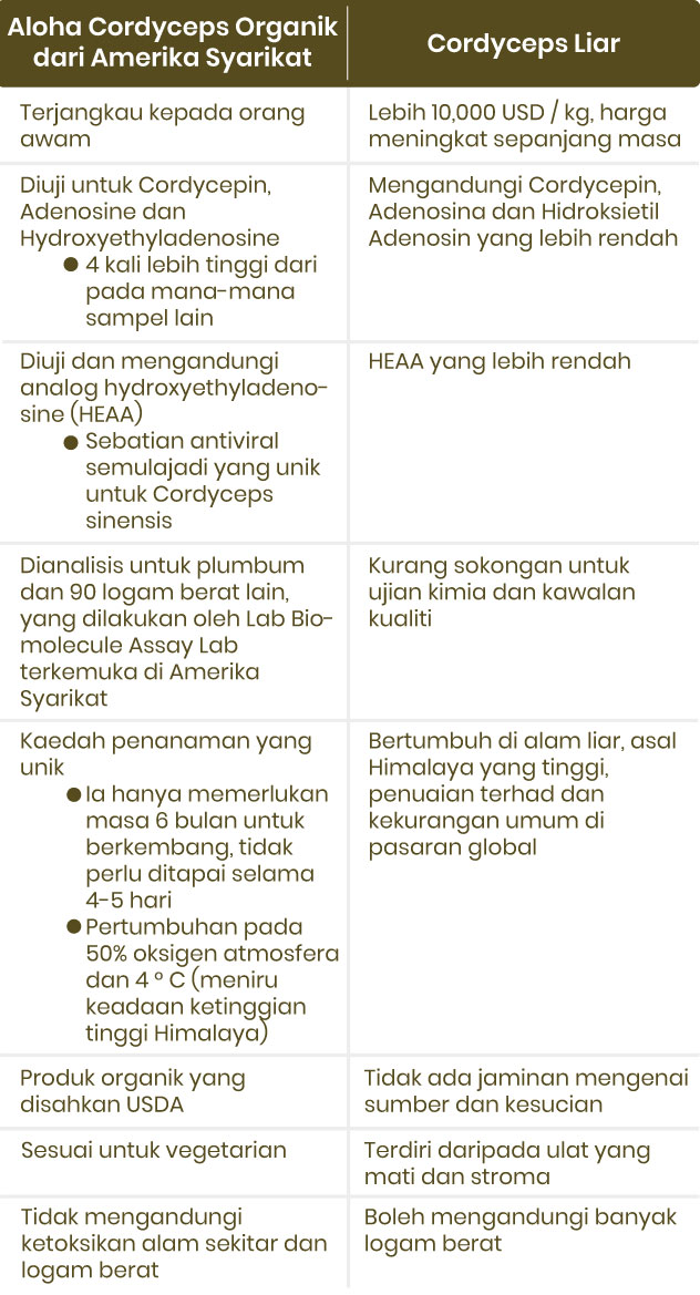 Ubat Tinggi Terbaik Di Dunia - Rexus F