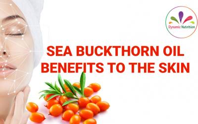 Sea Buckthorn Oil Benefits to the Skin