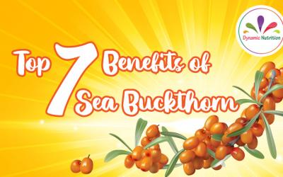 Top 7 Benefits of Sea Buckthorn
