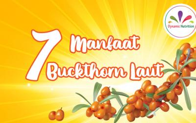 7 Manfaat Buckthorn Laut