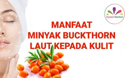 Manfaat Minyak Buckthorn Laut kepada Kulit