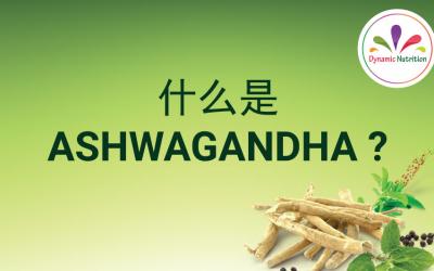 什么是Ashwagandha？