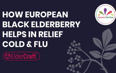 How European Black Elderberry Helps in Relief Cold & Flu