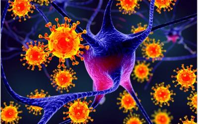 病毒传染 免疫力是关键！