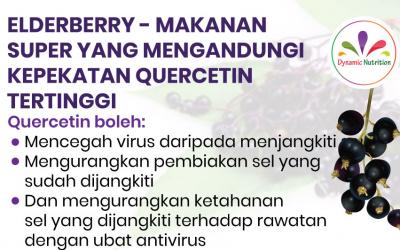 Elderberry – Makanan Super yang mengandungi Kepekatan Quercetin Tertinggi