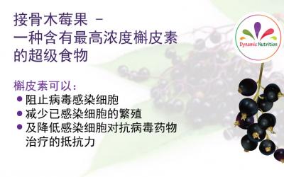 接骨木莓果 – 一种含有最高浓度槲皮素的超级食物