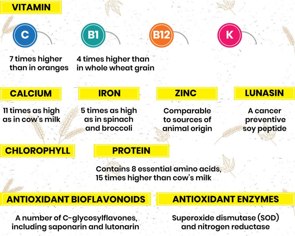 Liquadry Organic Barleygrass Juice Powder Dynamic Nutrition Liquadry Organic Barleygrass Juice Powder Dynamic Nutrition