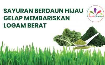 Sayuran Berdaun Hijau Gelap Membariskan Logam Berat