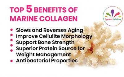 Top 5 Benefits of Marine Collagen