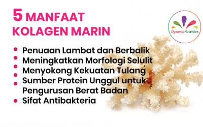 5 Manfaat Kolagen Marin