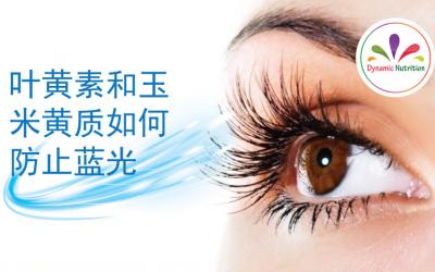 叶黄素和玉米黄质如何防止蓝光