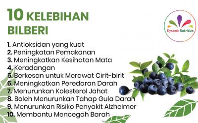 Sepuluh Kelebihan Bilberi