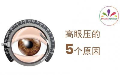 高眼压的5个原因