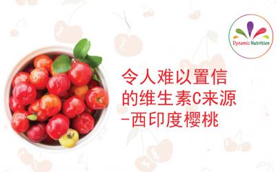 令人难以置信的维生素C来源 -西印度樱桃