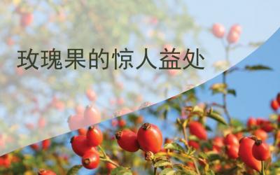 玫瑰果的惊人益处