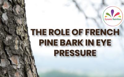 The Role Of French Pine Bark in Eye Pressure