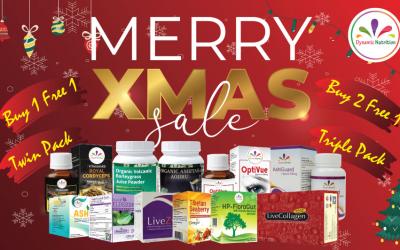 Christmas Promotion 2020